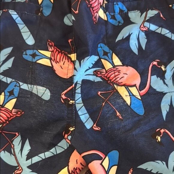 Appaman Boys Flamingo 8 Rash Guard & 7 Swim Trunks Set Beachwear Vacation Pool - Picture 7 of 8